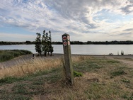 Pixel 11 Pro (XL) Cameratest - Primair overdag