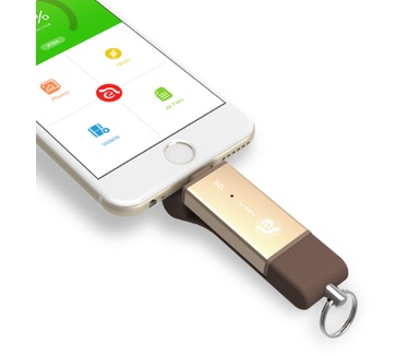 Adam Elements iKlips DUO 32GB Goud