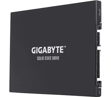 Gigabyte UD Pro 256GB