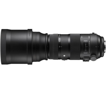 Sigma 150-600mm f/5-6.3 DG OS HSM Sports (Sigma)