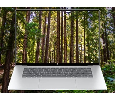 HP OmniBook 5 Laptop Next Gen AI 16-bf0900nb