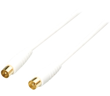 Bandridge BVL8103