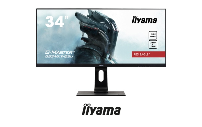 iiyama v2
