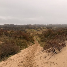 Afbeeldingslocatie: https://tweakers.net/i/Nb5nW5d0BDyUILNPqlrF0KBZ8rw=/232x232/filters:strip_icc():strip_exif()/f/image/Wr5iYciXPyZwjn92ZnSgitRu.jpg?f=fotoalbum_tile