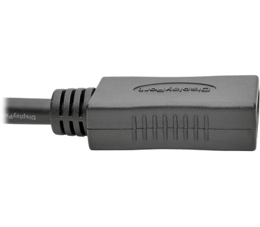 Tripp-Lite P579-003