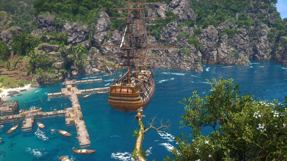 Assassin's Creed Black Flag Resynced
