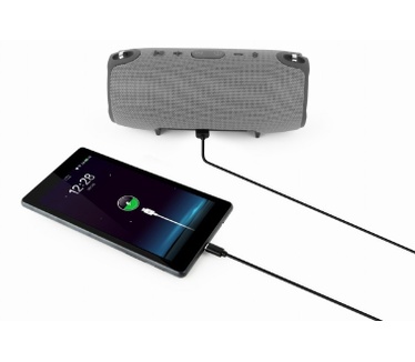 Gembird SPK-BT-06-GR