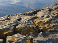 OnePlus 15 cameratest - Telecamera