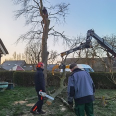 Afbeeldingslocatie: https://tweakers.net/i/NdpDMejyEzeybFrh2mF8aRyguDA=/232x232/filters:strip_icc():strip_exif()/f/image/e4kcgvvkNM6YZ72s0hqTs9rW.jpg?f=fotoalbum_tile