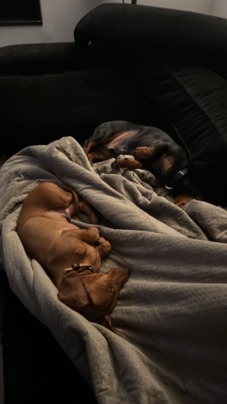 Afbeeldingslocatie: https://tweakers.net/i/Nf9or-6h2KLyB6-X4tjPDDfbDH0=/x800/filters:strip_icc():strip_exif()/f/image/rCZ9POtgvsIWeIsypd0zOUmM.jpg?f=fotoalbum_large