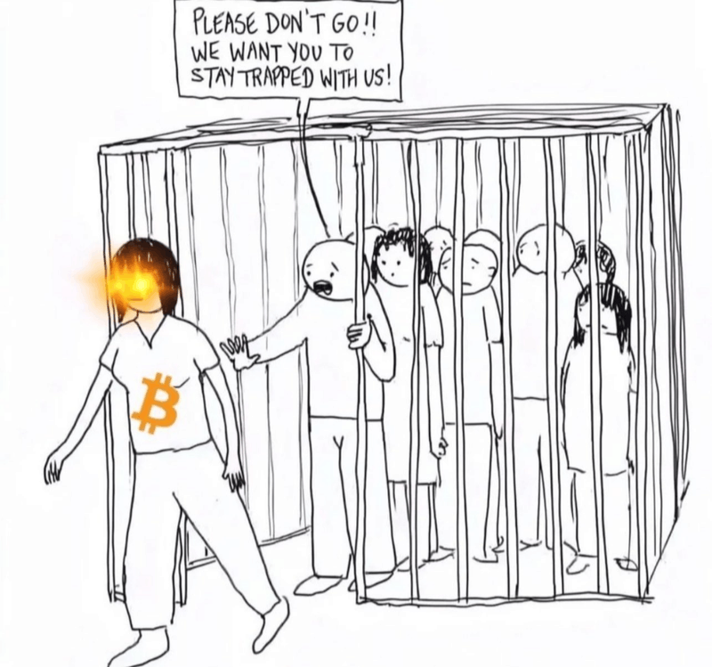 Afbeeldingslocatie: https://tweakers.net/i/NfcEI2kU3Nu5nPwxqXOnv9ThwZc=/800x/filters:strip_exif()/f/image/jzpz1uXjAwh96r5QRFucig6B.png?f=fotoalbum_large