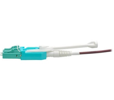 Tripp-Lite N845-01M-8L-MG Blauw, Magenta, Zwart