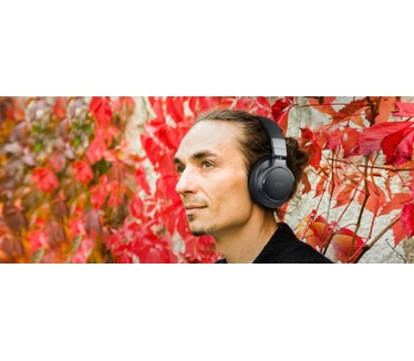Muse M-278 FB