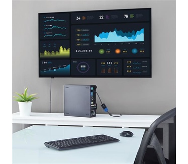 Startech.com DisplayPort naar VGA adapter 1920x1200 set van 5