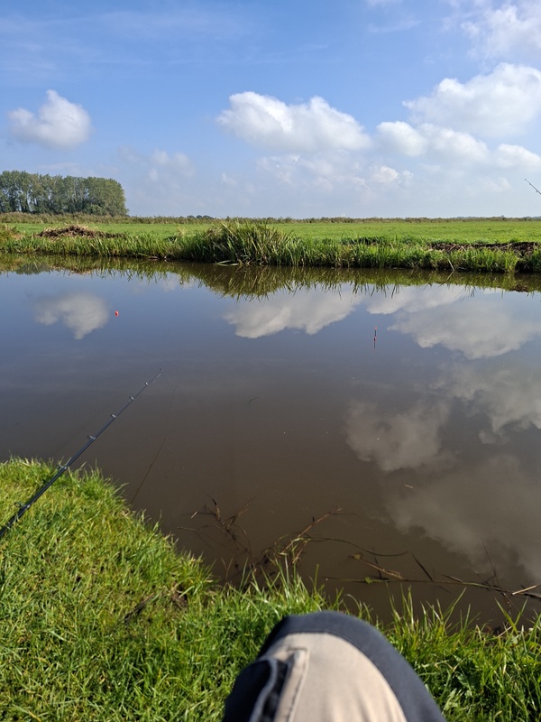Afbeeldingslocatie: https://tweakers.net/i/Nm80u9V_6JKepkwkk8vBJn998fw=/x800/filters:strip_icc():strip_exif()/f/image/XJHn9x1F4SDRAViDNGMkGH2J.jpg?f=fotoalbum_large
