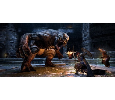 Dragon's Dogma: Dark Arisen, Switch