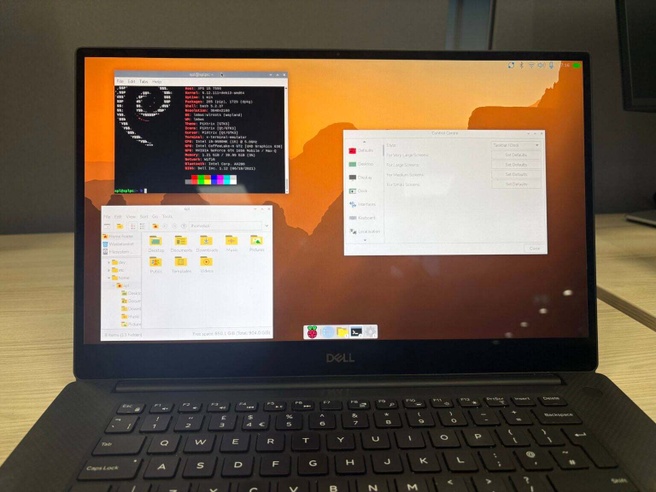 Raspberry pi OS Dell