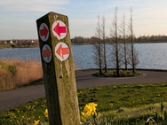 Xiaomi 17 Cameratest - Twee keer zoom