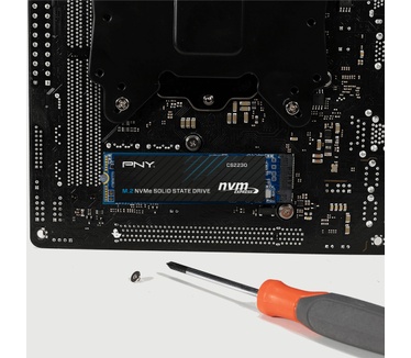 PNY CS2230