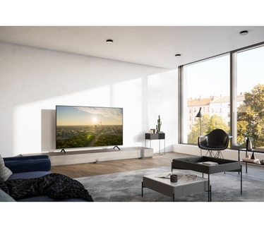 Panasonic TV-55W95AEG Zilver