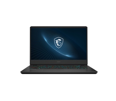 MSI GP66 12UG-044BE Vector