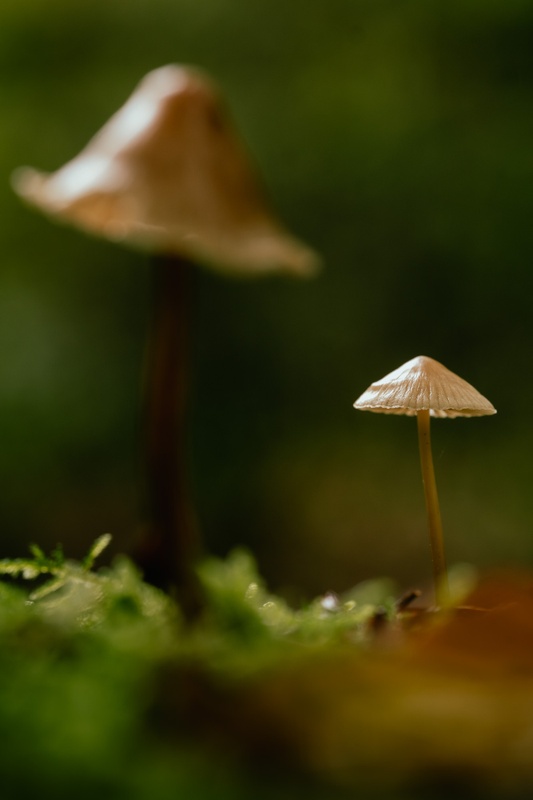 Afbeeldingslocatie: https://tweakers.net/i/Nxk1gb5RgZ-ogrxbM_ZJA2RWNoE=/x800/filters:strip_icc():strip_exif()/f/image/myIQv7Pbcqiz5O7fUJzDkqXl.jpg?f=fotoalbum_large