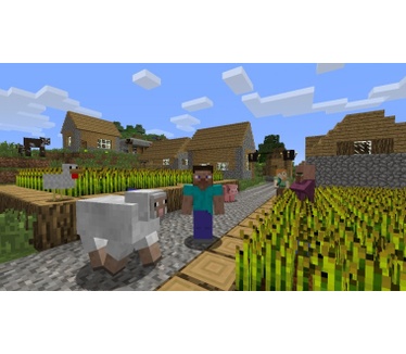 Minecraft, Wii U