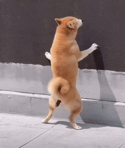 Afbeeldingslocatie: https://tweakers.net/i/Nxo_KgR0HJ06zmkyM6EjKPGN-2A=/fit-in/4000x4000/filters:no_upscale():gifsicle():strip_exif()/f/image/xbzSpASlU1y18dB1Qz6IaUxy.gif?f=user_large