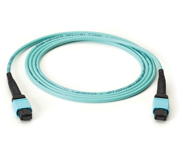 Black Box FOTC20M3-MP-12AQ-3