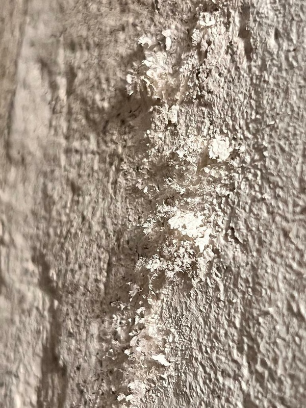 Afbeeldingslocatie: https://tweakers.net/i/Nzxilr2LFSqKoOJlEgx5uDvD8y4=/x800/filters:strip_icc():strip_exif()/f/image/Hblre19QhQRnobmc8Xrqip8c.jpg?f=fotoalbum_large