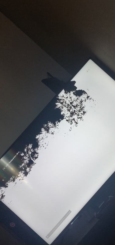 Afbeeldingslocatie: https://tweakers.net/i/O0PP68IlgAbipuj7QsdYESoKT_w=/x800/filters:strip_icc():strip_exif()/f/image/dtAEizNUEGN9PIxgmhxKoKc7.jpg?f=fotoalbum_large