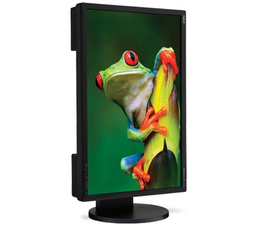 NEC MultiSync EA221WMe Zwart