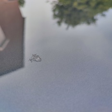 Afbeeldingslocatie: https://tweakers.net/i/O0pySYGV7WZkKtRI_ksxbr1Bv0Q=/232x232/filters:strip_icc():strip_exif()/f/image/F0UGYtKizMD6Tf7ox7Jxh7vo.jpg?f=fotoalbum_tile