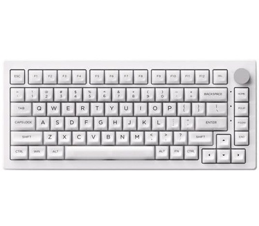 Akko 5075B Plus Shine-Through RGB Draadloos Hotswap Mechanisch Gaming Toetsenbord