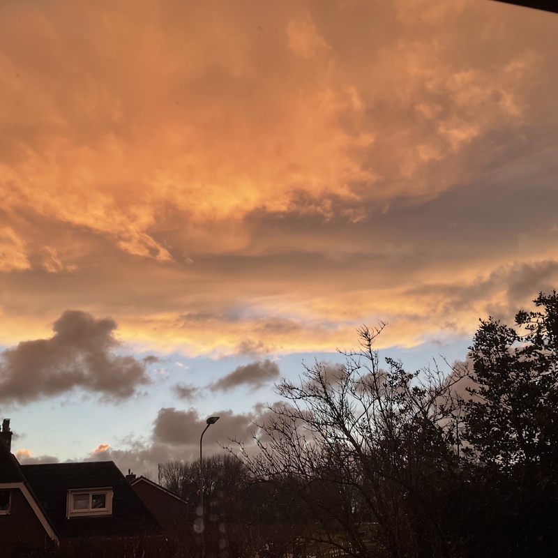 Afbeeldingslocatie: https://tweakers.net/i/O2QTf9aFlpZs2SsczNUAAwuQMNQ=/800x/filters:strip_icc():strip_exif()/f/image/SCPIgUTideMGj6BX3tL5KEeZ.jpg?f=fotoalbum_large