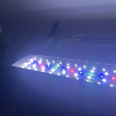 Afbeeldingslocatie: https://tweakers.net/i/O2TLJQp6ngkP3JyZMdYf4KAIV5s=/232x232/filters:strip_icc():strip_exif()/f/image/jbV1bumLPR9llOQnmRzV5ke3.jpg?f=fotoalbum_tile