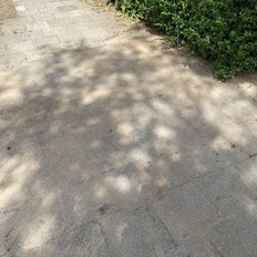 Afbeeldingslocatie: https://tweakers.net/i/O4Mqg9MP2HHK4_mK4KpzjjPjiIs=/232x232/filters:strip_icc():strip_exif()/f/image/uUJm3gz8XshdSGcPu6Wxeg84.jpg?f=fotoalbum_tile