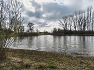 Phone 4a Pro cameratest - Hoofdcamera