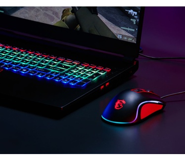 MSI GE63 9SE-617NL Raider RGB