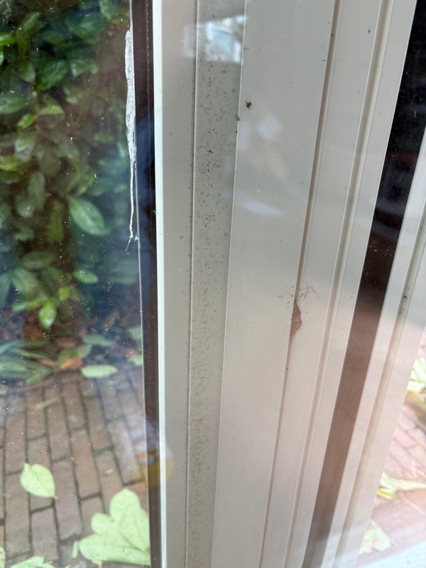 Afbeeldingslocatie: https://tweakers.net/i/O74XM-JXR83FKg8cGKkMooDT5es=/x800/filters:strip_icc():strip_exif()/f/image/9aoOV14j5vVpmqEiuEEgA8FD.jpg?f=fotoalbum_large