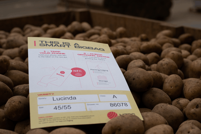 De papieren datalogger in een kist met aardappelen.