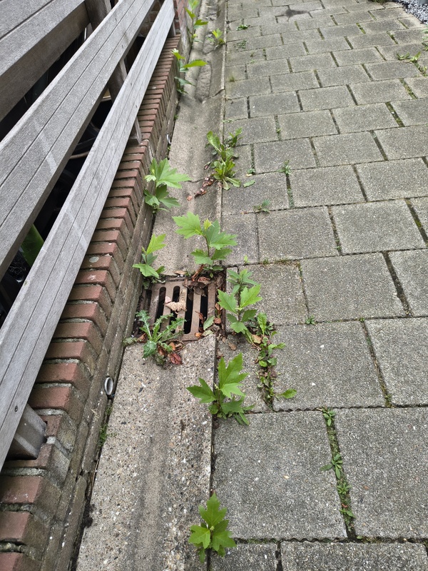 Afbeeldingslocatie: https://tweakers.net/i/O8fFDly4YP5DHYGkGdwb5eFDm2k=/x800/filters:strip_icc():strip_exif()/f/image/PtvvwSryJ88BTHdrHGSUWPsH.jpg?f=fotoalbum_large