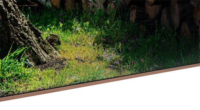 TCL A400 Pro - conclusiebeeld