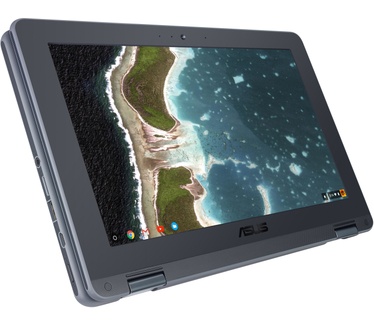 Asus C213NA-BU0058-BR