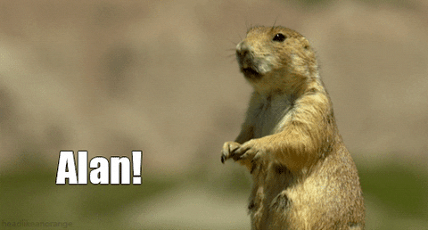 Afbeeldingslocatie: https://tweakers.net/i/ODDapBBjiTjPJsC-F6uQ9uo6y6U=/fit-in/4000x4000/filters:no_upscale():gifsicle():strip_exif()/f/image/cf2D1MfQSkeeFyBE53T2WVIV.gif?f=user_large