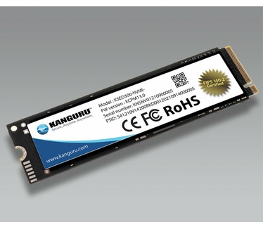 iStorage SED300