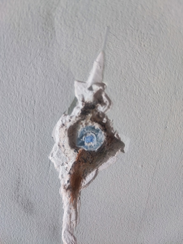 Afbeeldingslocatie: https://tweakers.net/i/OF2Oz-eu8R_QlXq5z1PrQDxR4js=/x800/filters:strip_icc():strip_exif()/f/image/xJ2znirHW9anlUfTwq43lCW2.jpg?f=fotoalbum_large