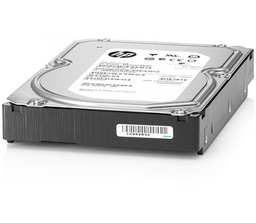 HP 507772-B21, 1TB