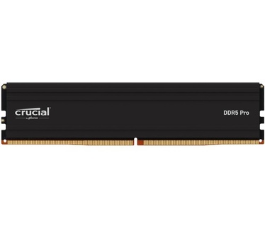 Crucial CP16G56C46U5T