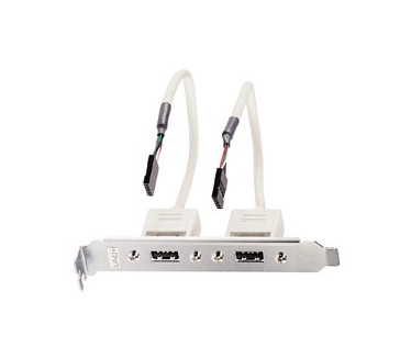 Lindy USB-adapter / 2 x 5 IDC, 0.20m